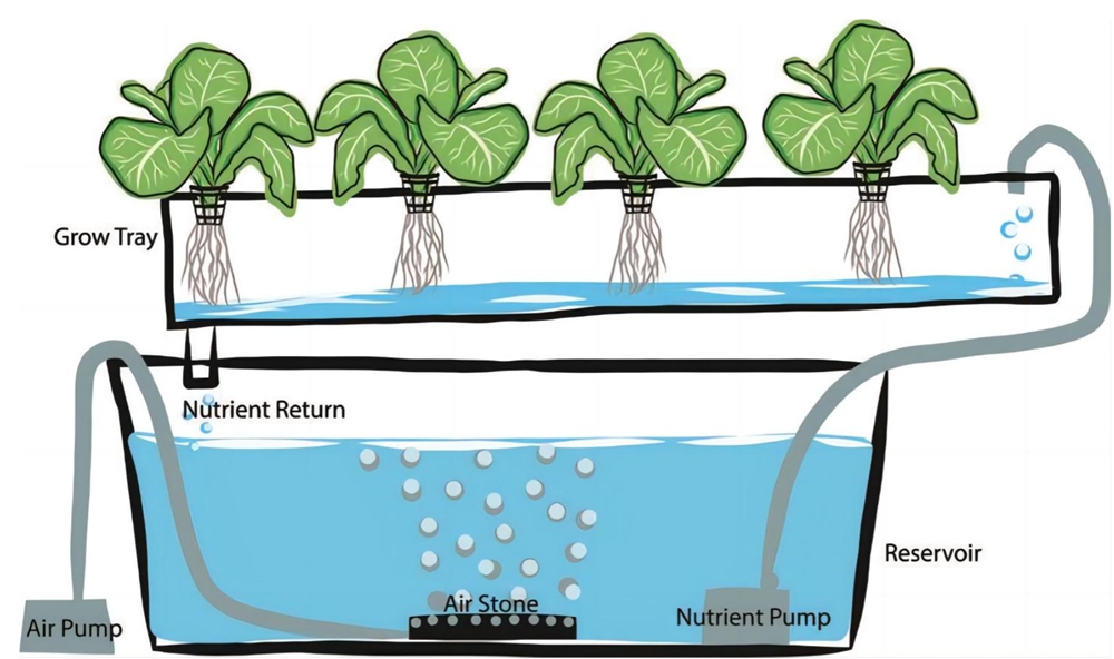 Solución de bombeo para cultivo hidropónico (1).jpg